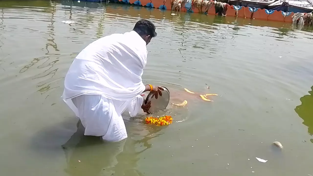 Image of Man in river performing Tarpan, offering flowers and fruit peels for ancestors- What is Tarpan