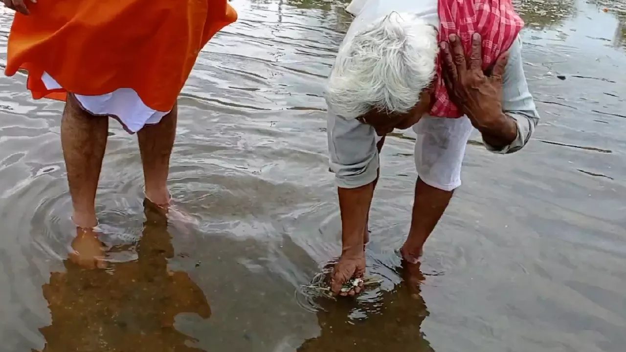 Image of Elderly man performs Tarpan in river, offering water & grass from hands. Another man stands nearby- Simplified daily Tarpan